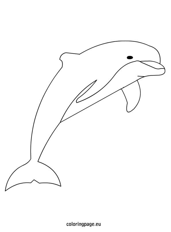 coloring pages for free dolphin coloring picture related 