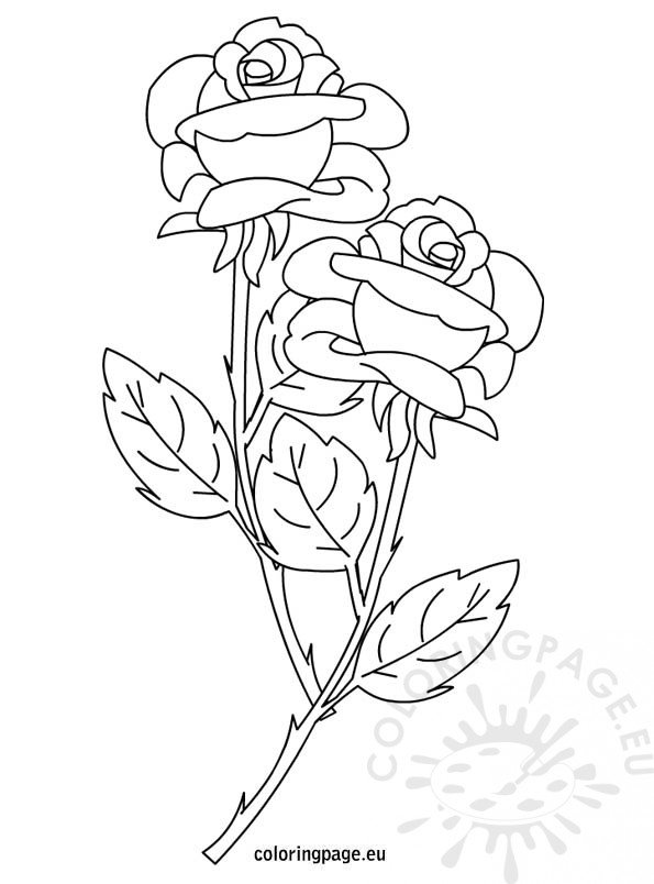 Roses coloring page - Coloring Page