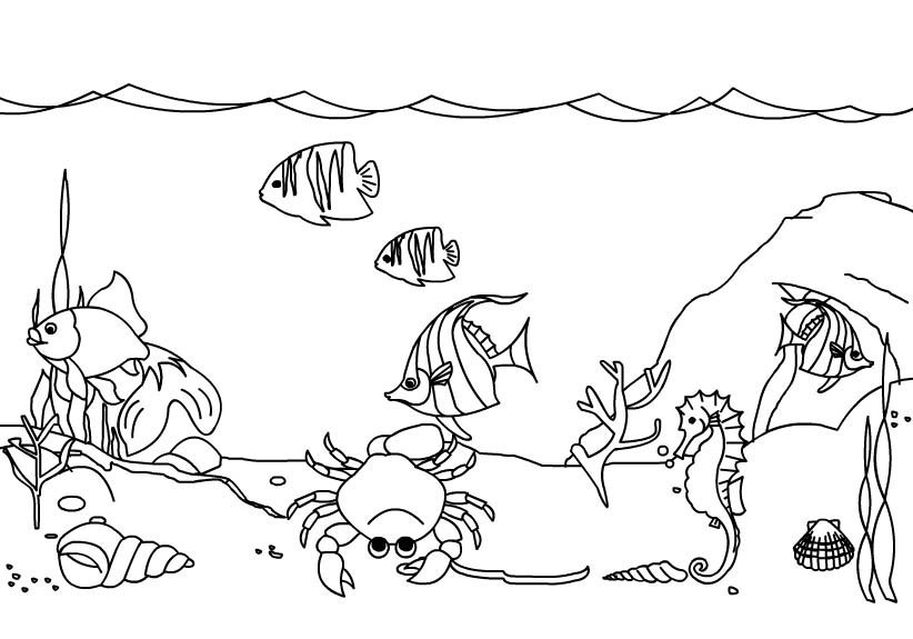 under the sea background coloring pages - photo #6