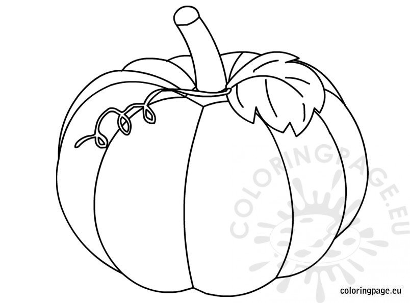 Pumpkin coloring picture – Coloring Page