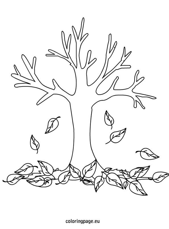 Autumn Fall Tree Coloring Page