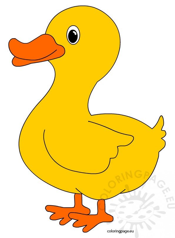 Cute Duck – Coloring Page