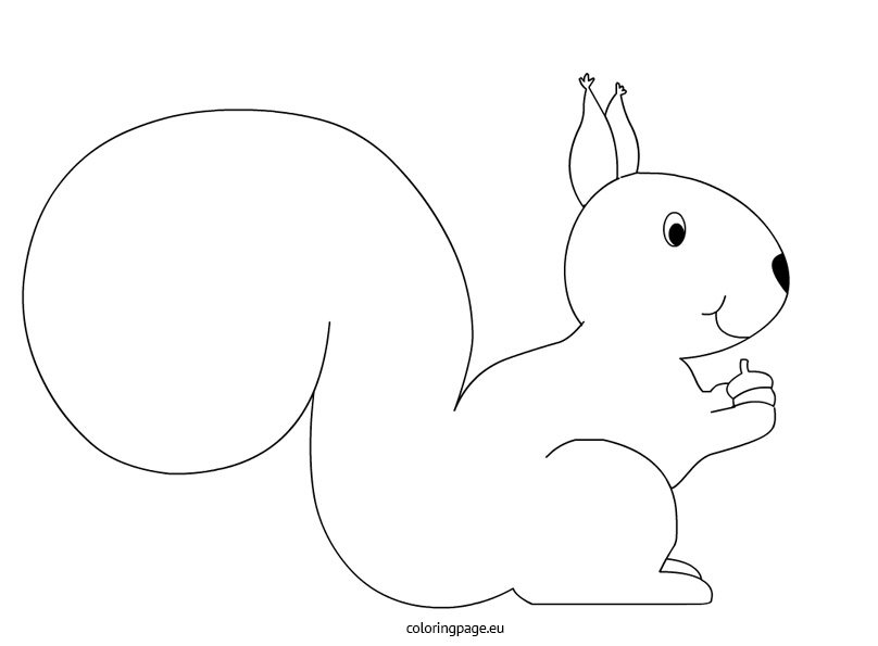 Squirrel Coloring Page