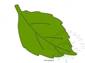 Green Leaf – Coloring Page