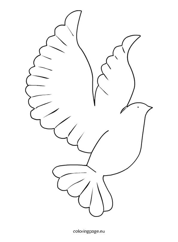 printable-dove-template-coloring-page