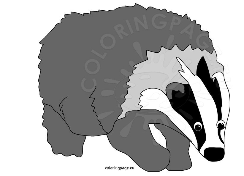 clipart badger - photo #5