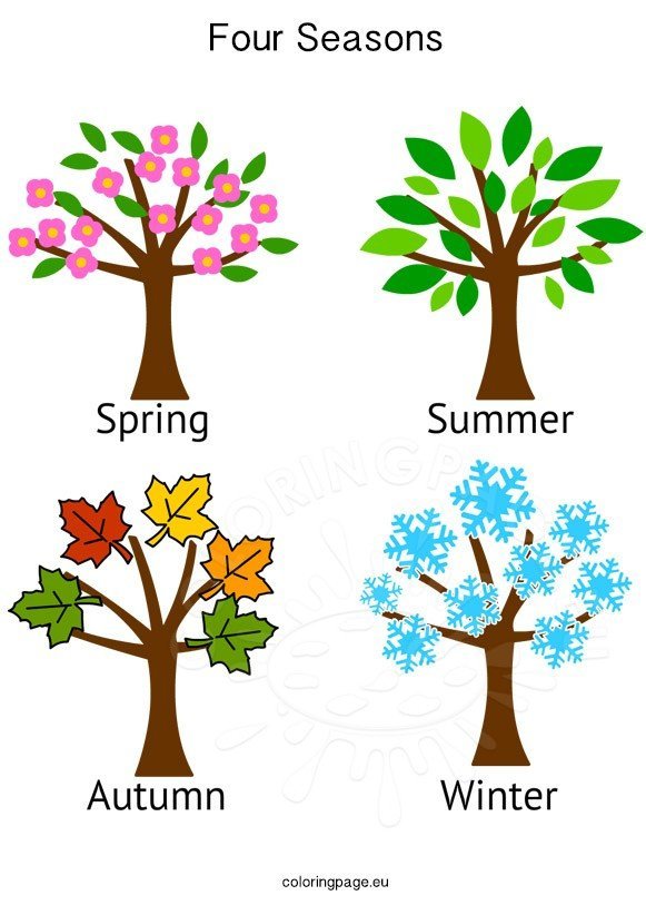 seasons four tree clipart coloring coloringpage clipartmag activities eu