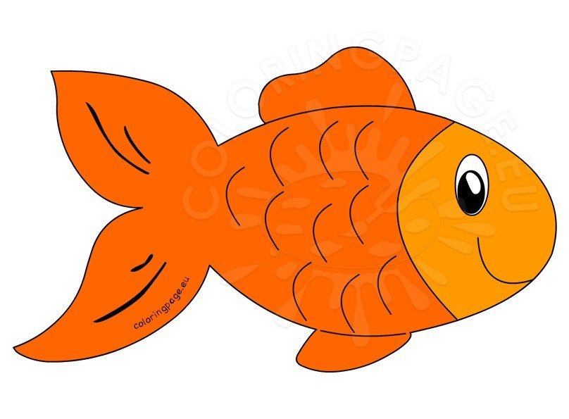 Cute Orange Fish Cartoon – Coloring Page