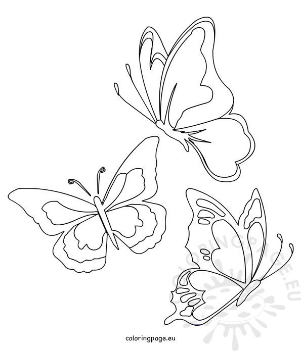 Butterflies shapes templates – Coloring Page