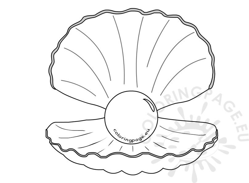 Shell With Pearl Clipart kid – Coloring Page