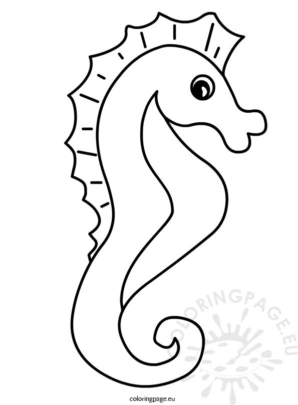 cute sea animal seahorse illustration coloring