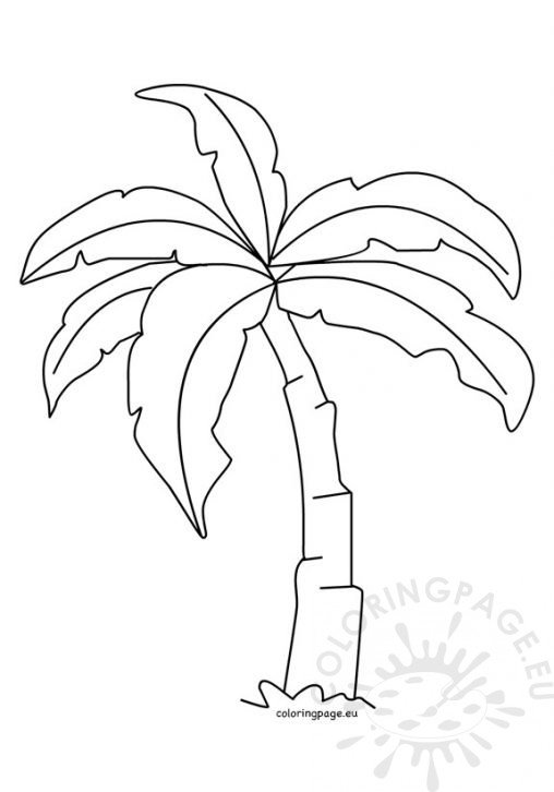palm tree sunset coloring pages - photo #21
