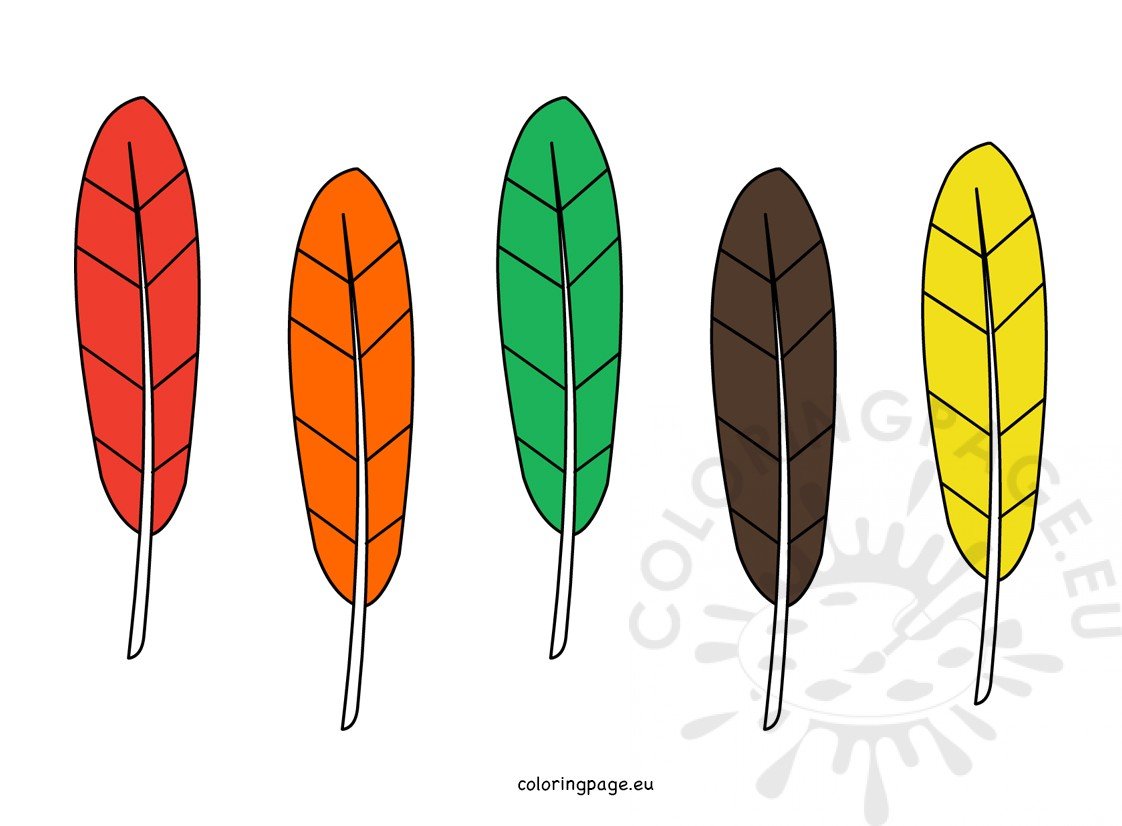 Color Turkey Feathers – Coloring Page