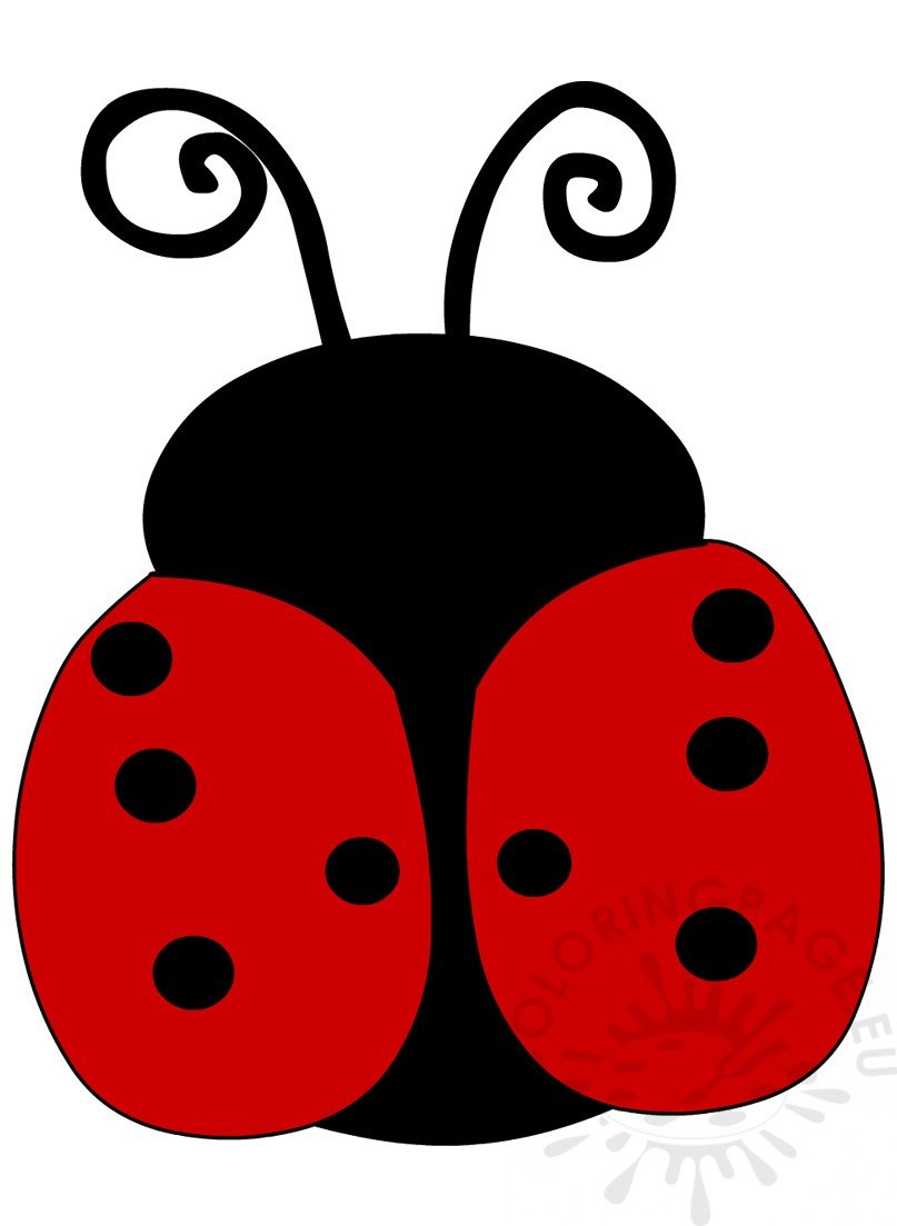 Ladybug Cartoon Insect Image – Coloring Page