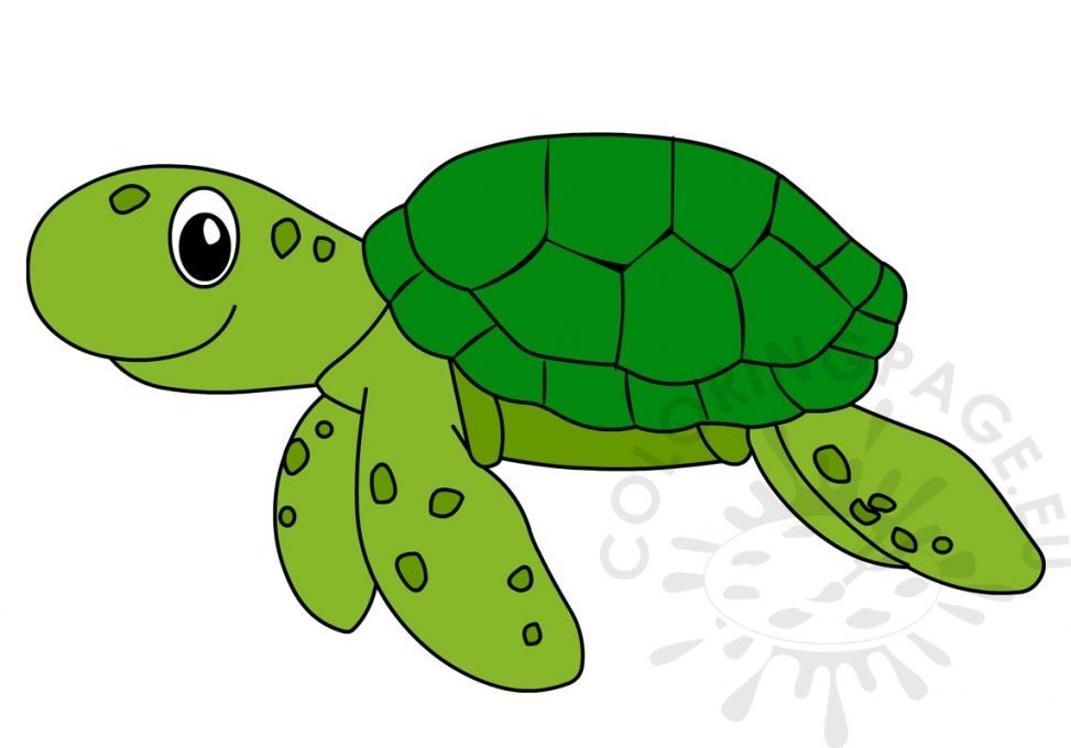 Printable Happy Sea Turtle Cartoon Coloring Page