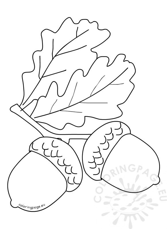 Autumn coloring page Acorns with leaves – Coloring Page