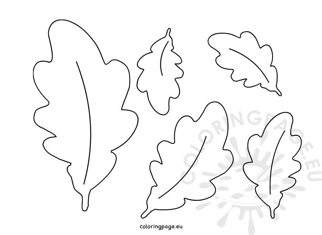Acorn leaf templates Autumn leaves – Coloring Page