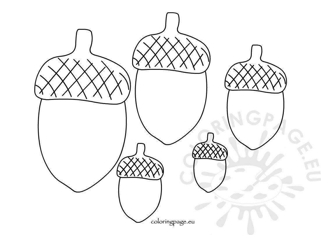 Printable Acorn template different sizes Coloring Page