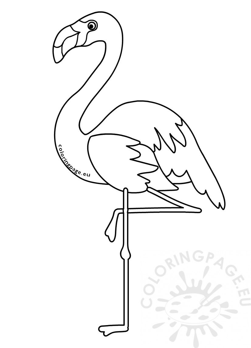 flamingo bird coloring cartoon animals adopt animal pet tribal coloringpage eu
