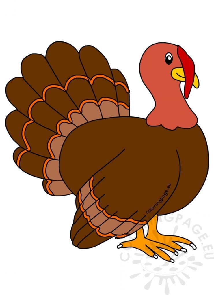 Cartoon Turkey Bird Thanksgiving Day Clipart Coloring Page