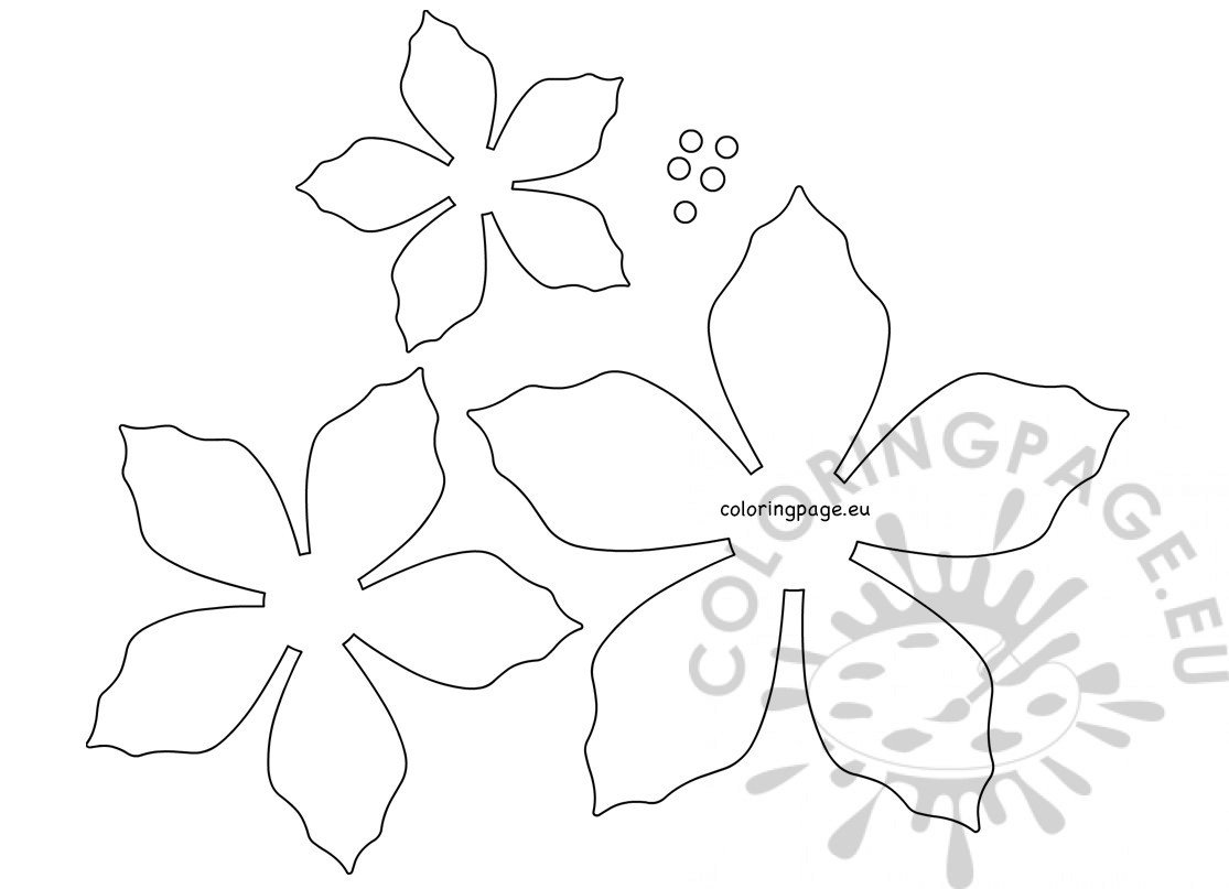 poinsettia-template-printable-free-printable-templates