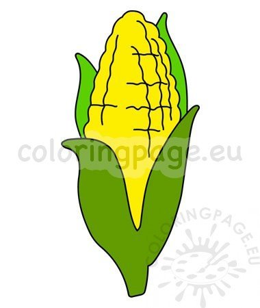 Corn Cob With Green Leaves Food Vector Coloring Page