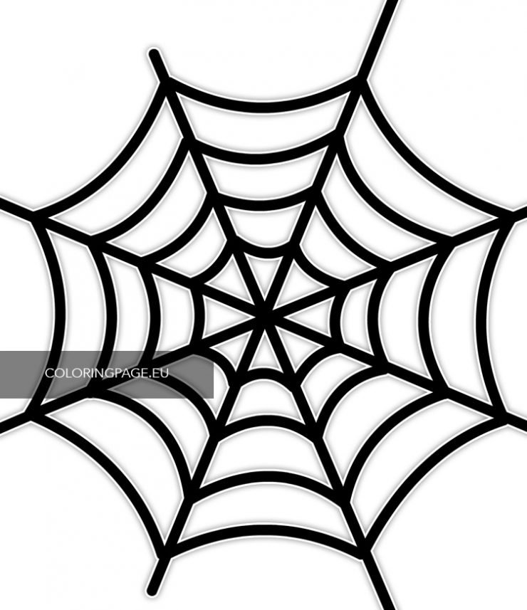 Printable Spider web template – Coloring Page