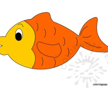 goldfish
