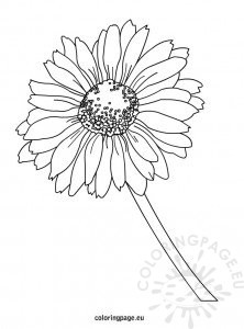 Daisy coloring page – Coloring Page