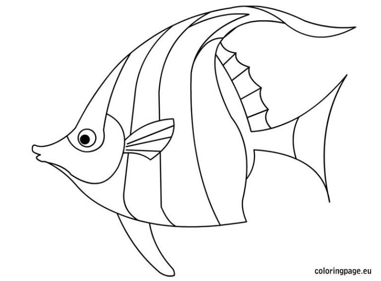 Angelfish coloring – Coloring Page