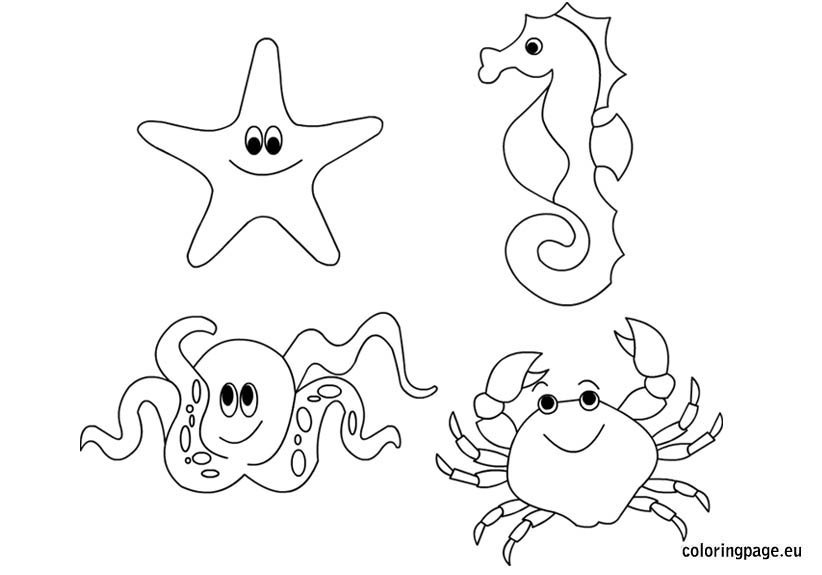 Sea animals coloring page Coloring Page