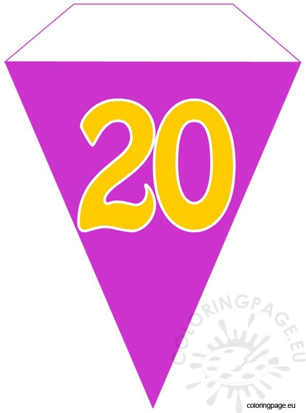 20th party flag banner