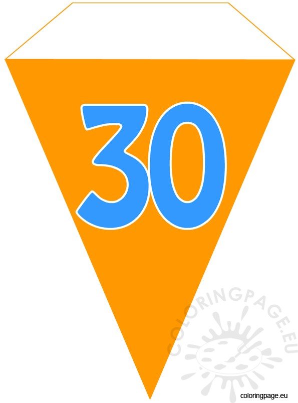 30th party flag banner