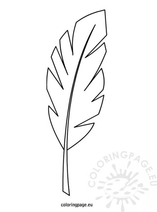 palm-branch-template-coloring-page