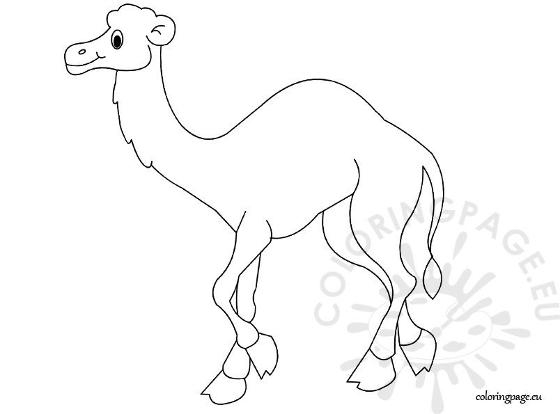 Download Dromedary Black White - Coloring Page