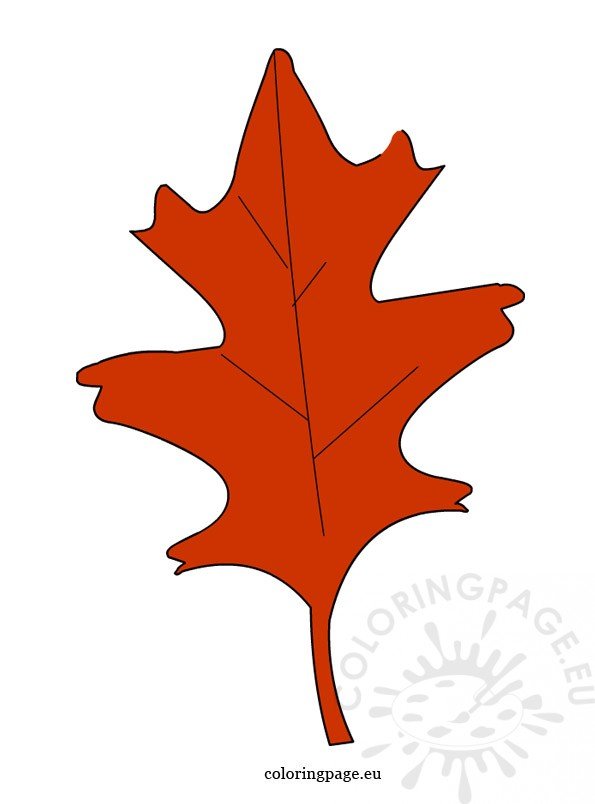 picture-oak-leaf