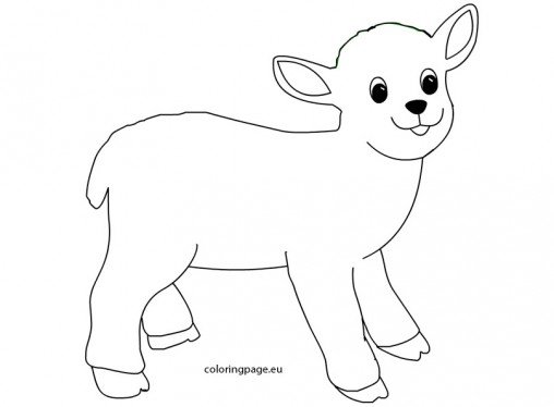 Lamb – Coloring Page