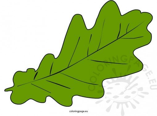 Autumn leaf clip art | Coloring Page