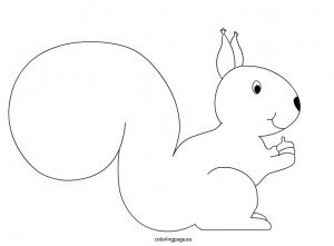 squirrel  coloring page