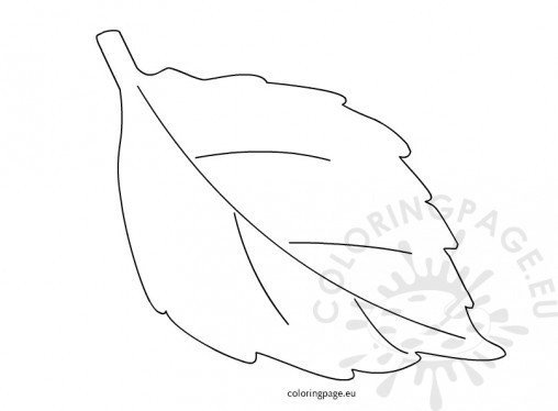 Leaf | Coloring Page