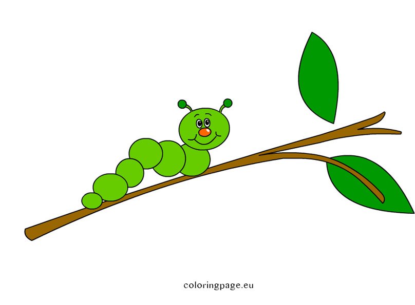 little-green-caterpillar