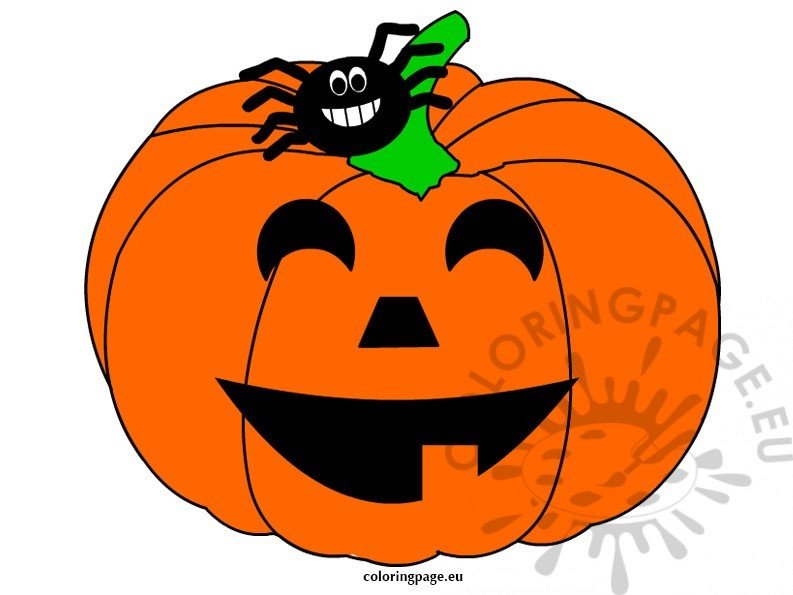 pumpkin spider