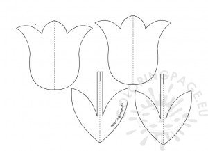 3D Tulip flower template | Coloring Page
