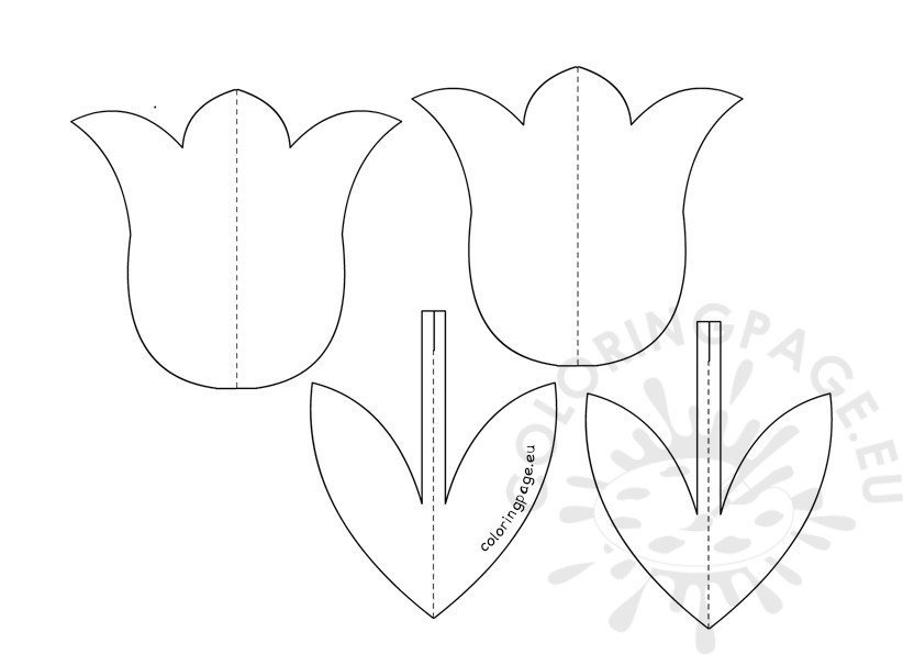 3D Tulip flower template Coloring Page