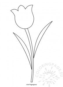 Tulip Flower Template Printable | Coloring Page