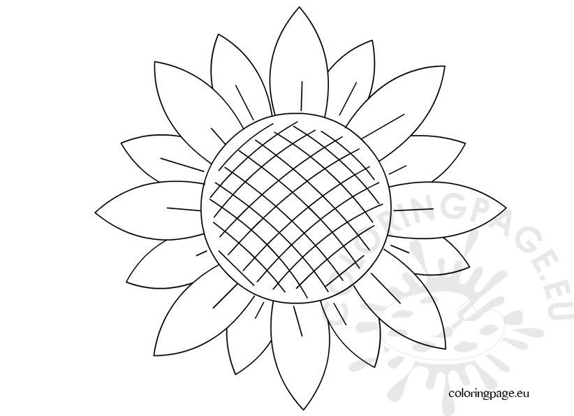 Sunflower template preschool Coloring Page