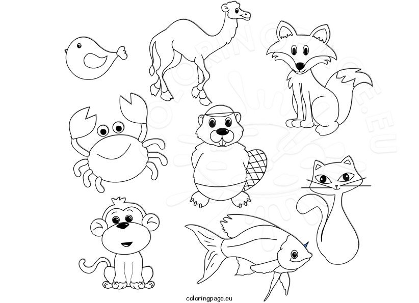 Cartoon Animals set 