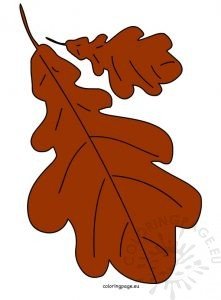 Red autumn leaves oak | Coloring Page