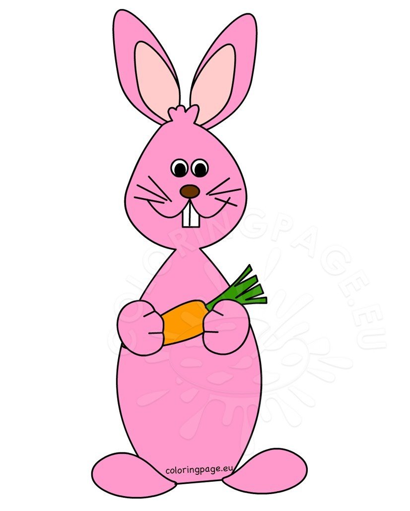 Pink rabbit cartoon with carrot 
