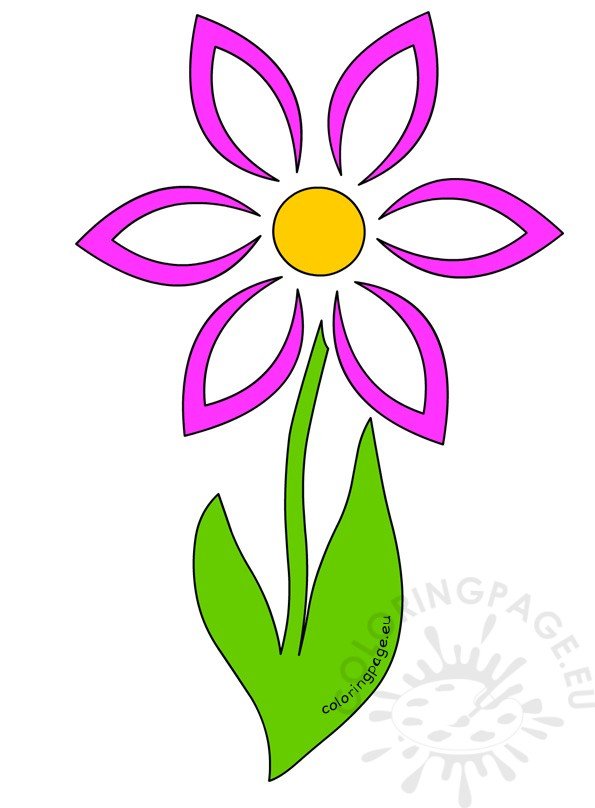 daisy flower stem4